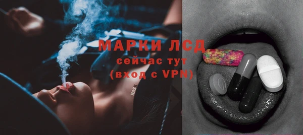 крисы Абаза
