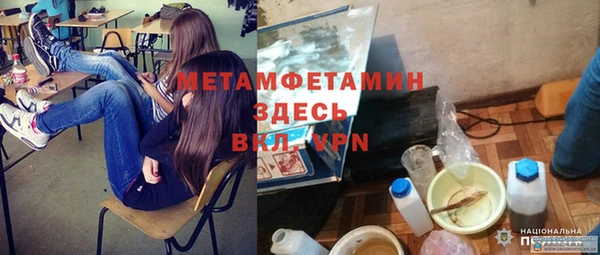 крисы Абаза