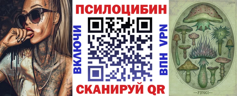 купить наркотик  Томилино  Псилоцибиновые грибы Cubensis 