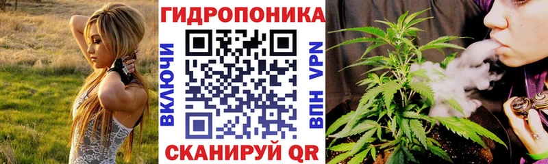 Конопля Bruce Banner  Томилино 